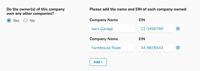 Do the owner(s) of this company own any other companies?